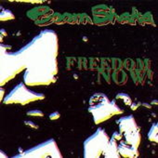 Freedom Now!