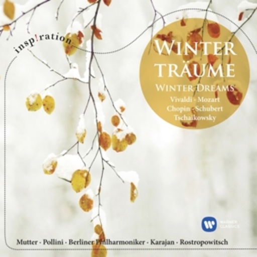 Diverse – Winterträume