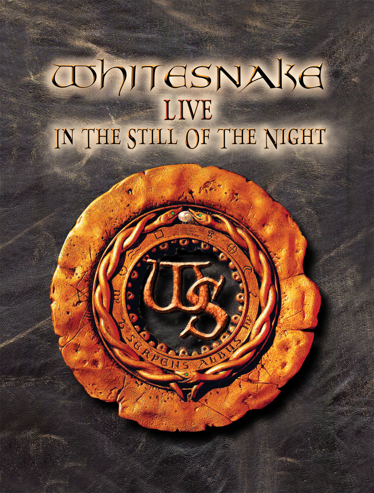 Whitesnake – Live - In The Still Of The Night
