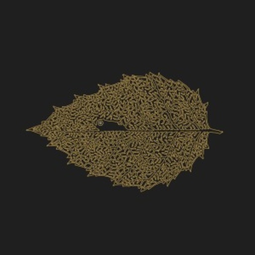 Dear John Letter – Between Leaves/Forestal