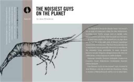 Jana Winderen – The Noisiest Guys On The Planet