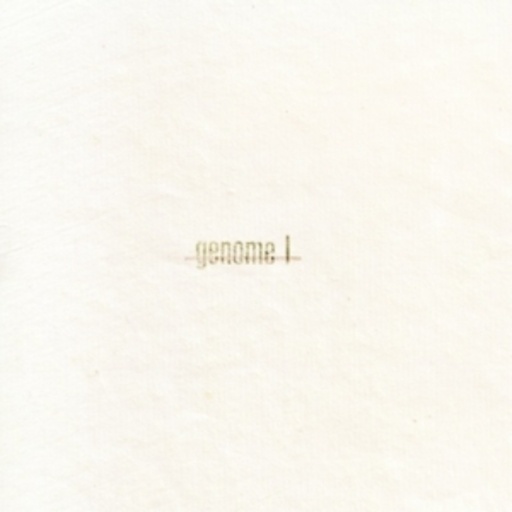Sebastian Mullaert & Patrick Siech – Gerome I