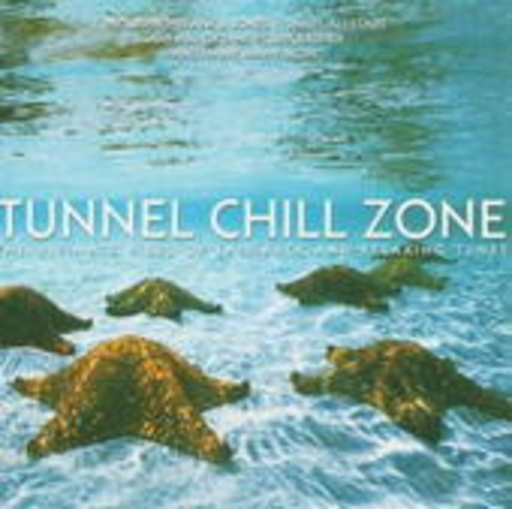 Diverse – Tunnel Chill Zone