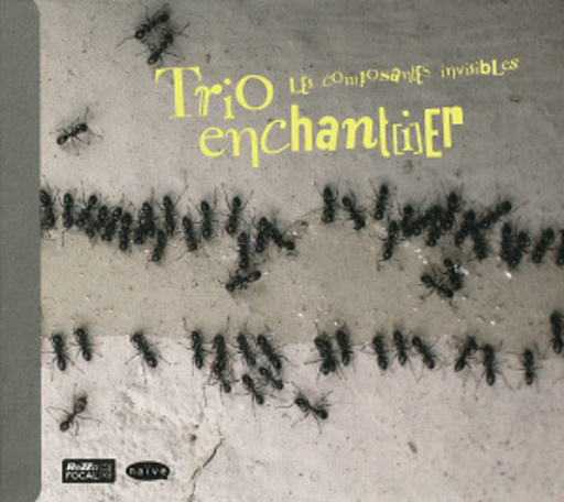 Trio Enchant[i]er – Les Composantes Invisibles