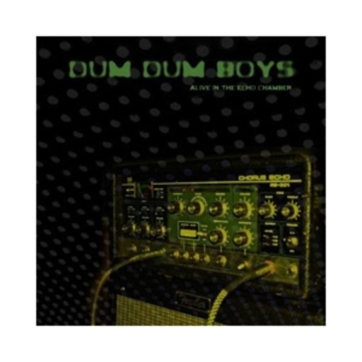 Dum Dum Boys – Alive In The Echo Chamber