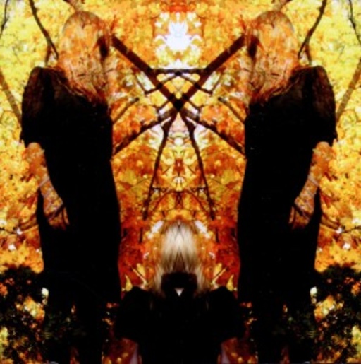 Austra – Feel It Break