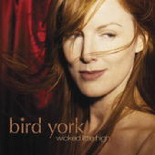 Bird York – Wicked Little High