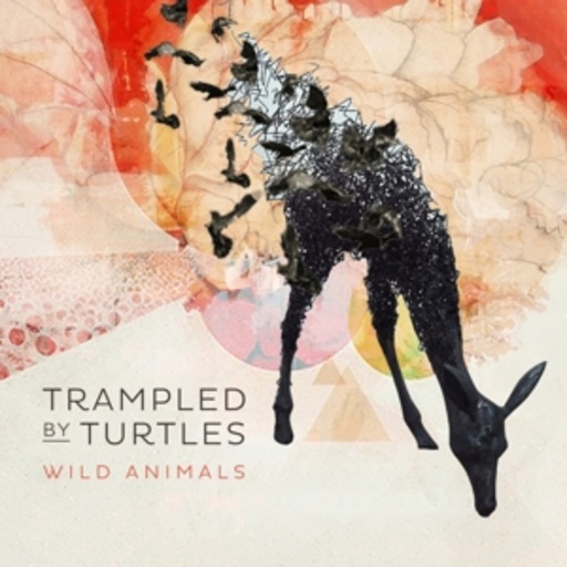 Trampled By Turtles – Wild Animals