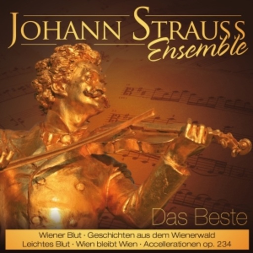 Johann Strauß Ensemble – Das Beste