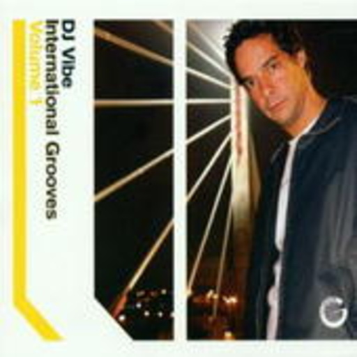 Diverse – International Grooves Volume 1 - DJ Vibe