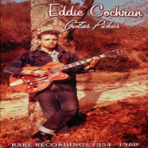 Guitarpicker