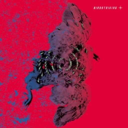 Birdstriking – Birdstriking