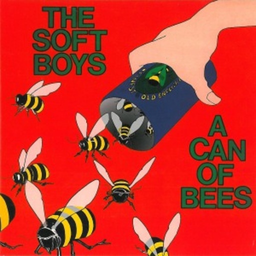 The Soft Boys – A Can Of Bees
