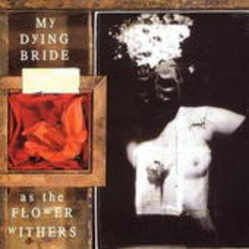 My Dying Bride – As The Flowers Withers