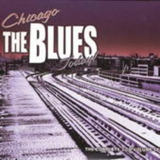 Diverse – Chicago The Blues Today!