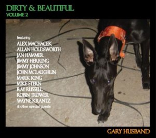 Gary Husband – Dirty & Beautiful Volume 2
