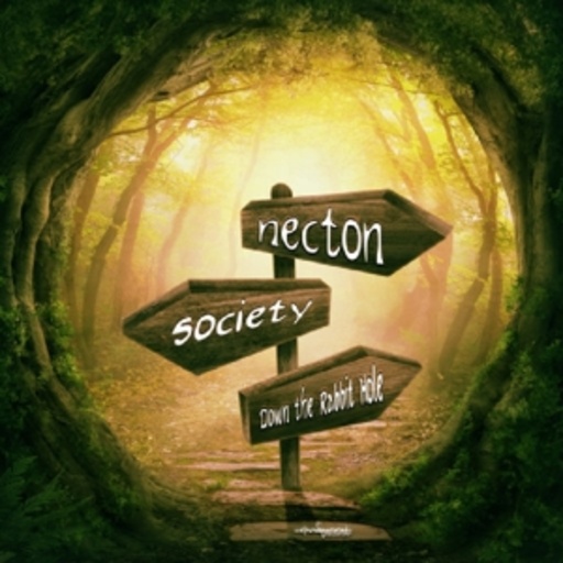 Nector – Down The Rabbit Hole