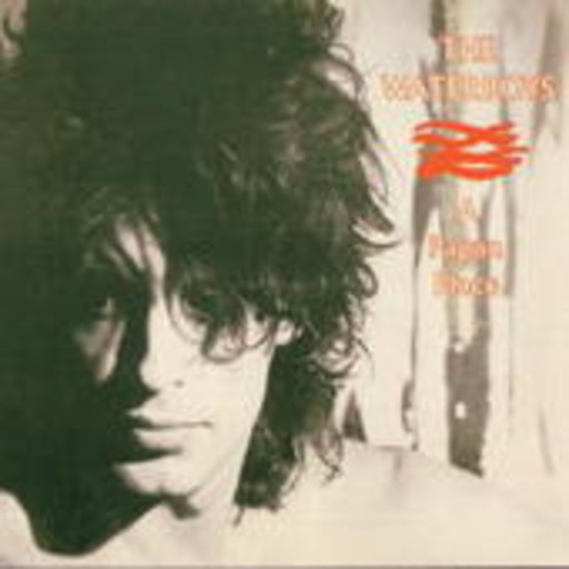 The Waterboys – A Pagan Place - Remastered 2002