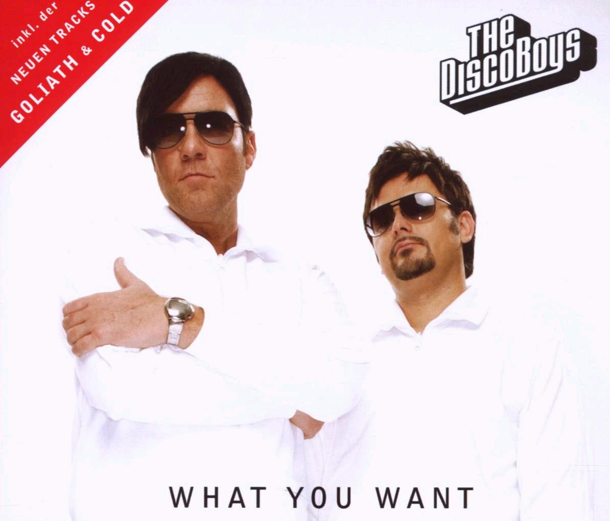 The Disco Boys – What You Want