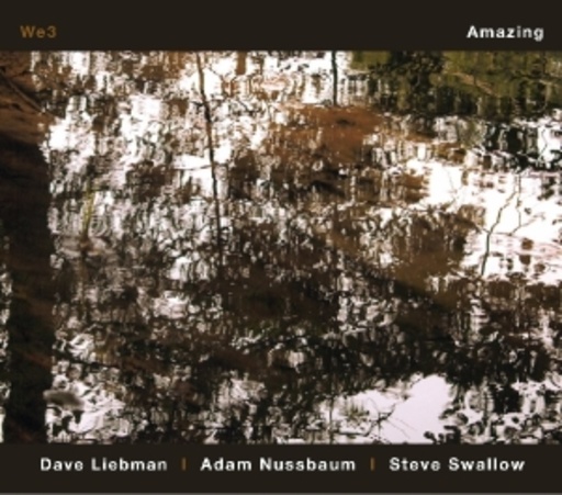 We 3 – Amazing