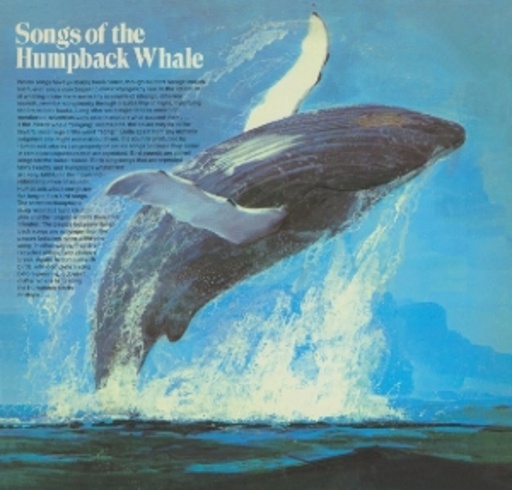 Diverse – Songs Of The Humpback Whale
