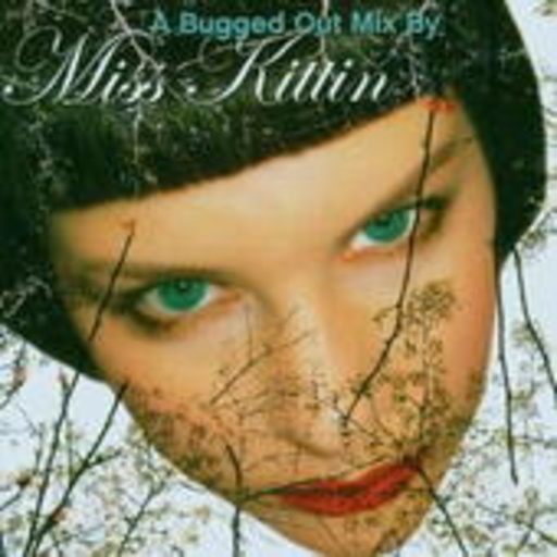 Diverse – A Bugged Out Mix (Mixed By Kittin)