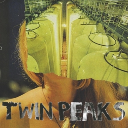 Twin Peaks – Sunken
