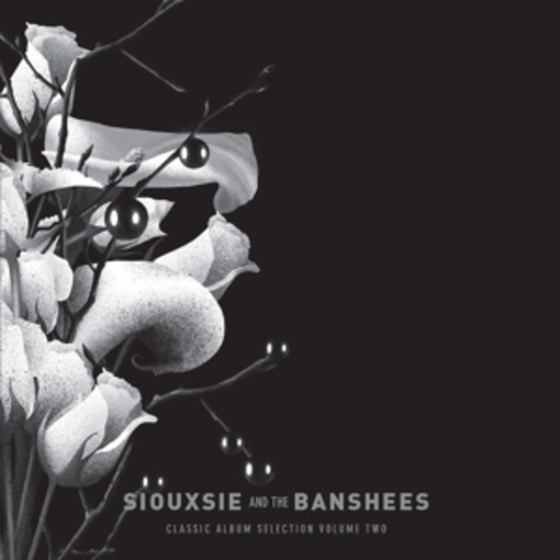 Siouxsie And The Banshees – Classic Album Selection - Vol. 2