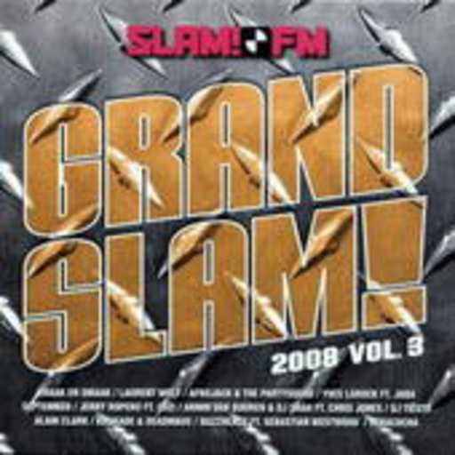 Diverse – Grand Slam 2008 Vol. 3