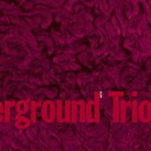 Chicago Underground Trio – Slon