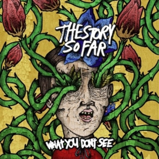 The Story So Far – What You Don't See