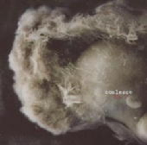 Coalesce – 012:2