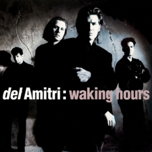 Waking Hours
