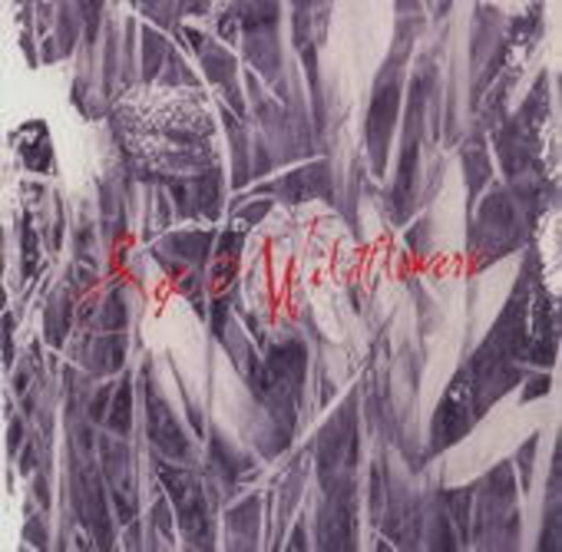 Sieben – Sex And Wildflowers
