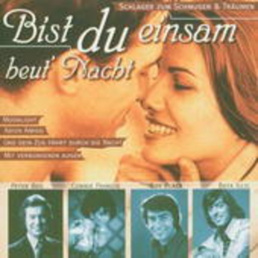 Diverse – Bist Du einsam heut' Nacht