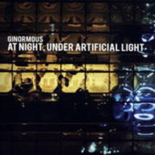 At Night Under Artificial Light