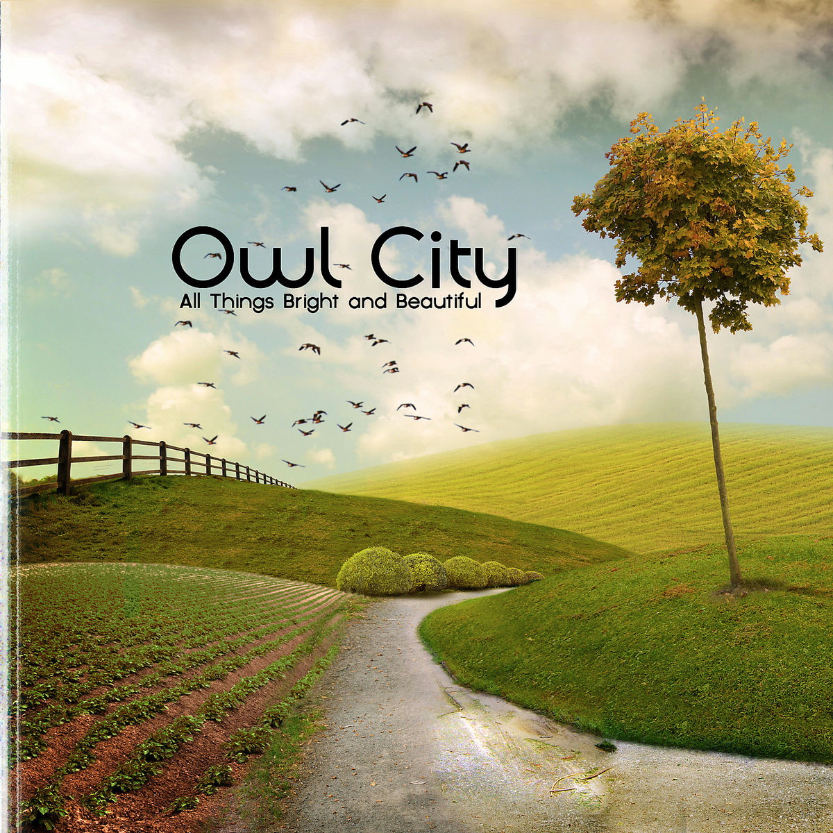 Owl City – All Things Bright And Beautiful