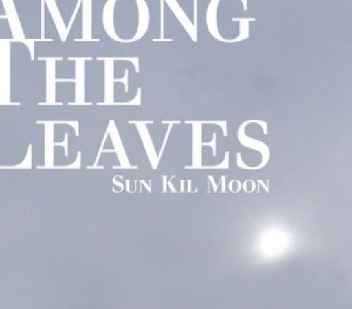 Sun Kil Moon – Among The Leaves