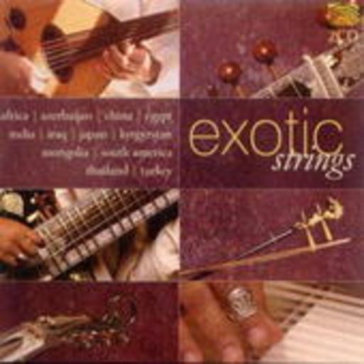 Diverse – Exotic Strings