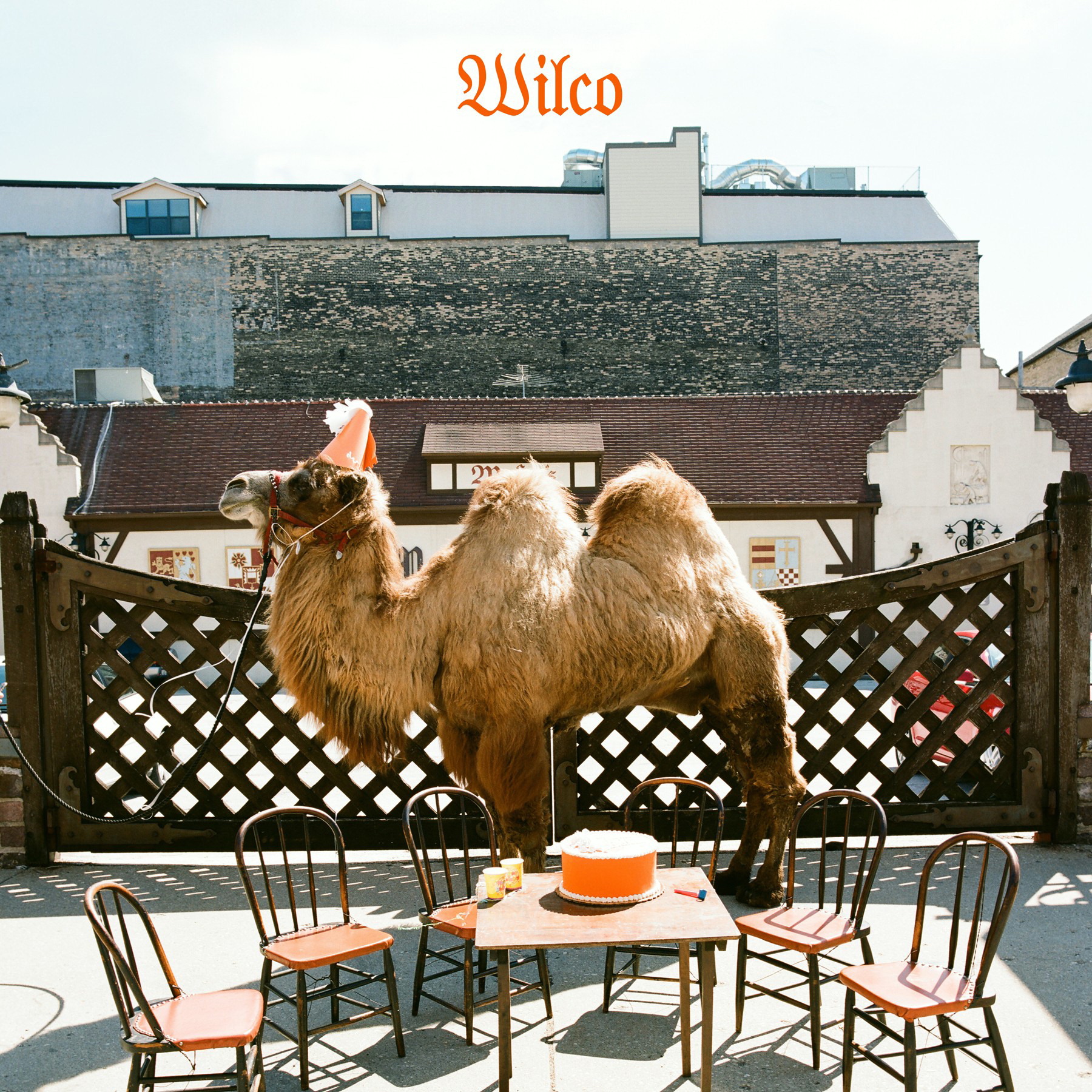 Wilco – Wilco (The Album)