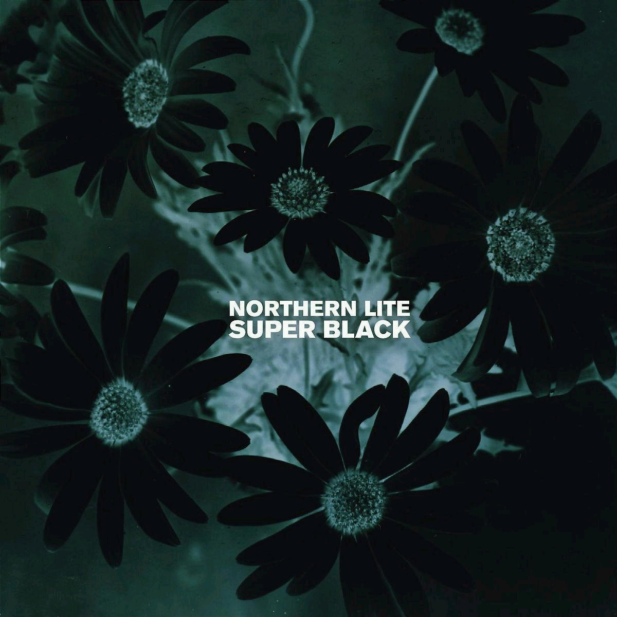 Northern Lite – Super Black