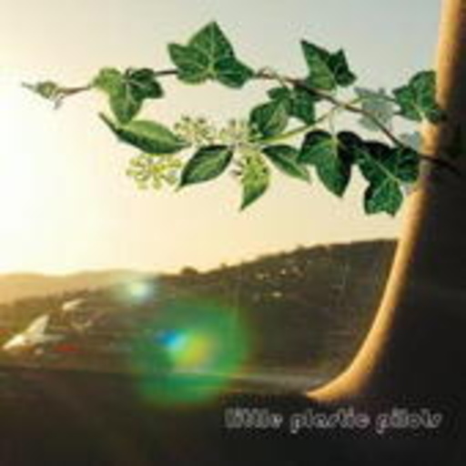 Little Plastic Pilot – Little Plastic Pilot