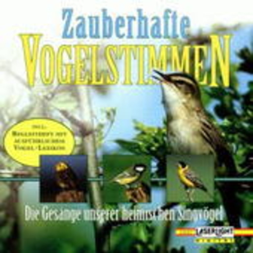 Diverse – Zauberhafte Vogelstimmen