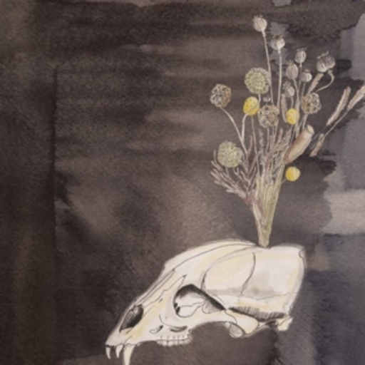 Steve Gunn & The Black Twig Pickers – Seasonal Hire