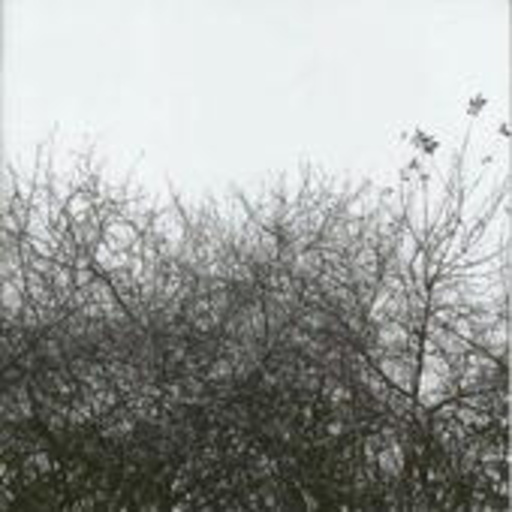 Simon Joyner – Lost With The Lights