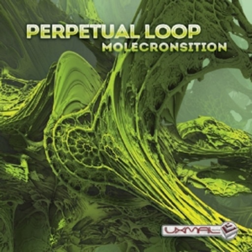 Perpetual Loop – Molecronsition