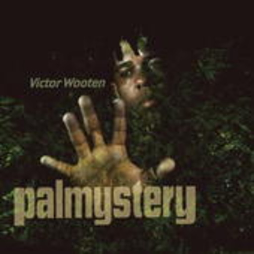 Victor Wooten – Palmystery