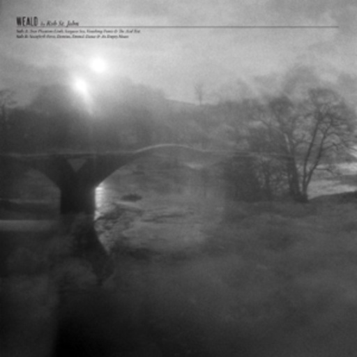 Rob St. John – Weald