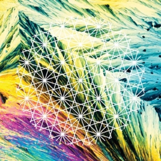 The Lay Llamas – Ostro