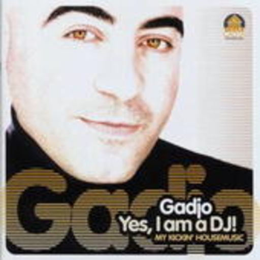 Diverse – Yes, I Am A DJ! (Mixed By Gadjo)